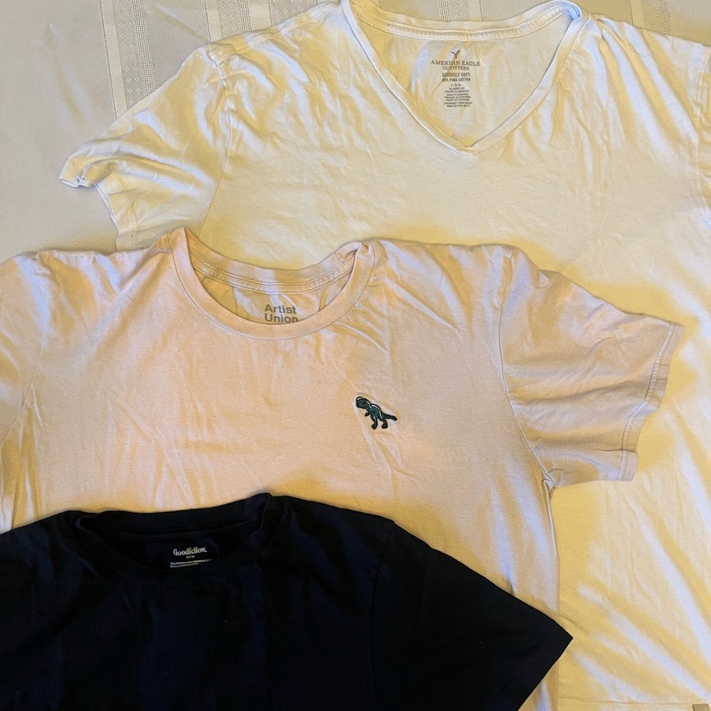 T Shirt Bundle - including American Eagle Outfitters White Short Sleeve Tee